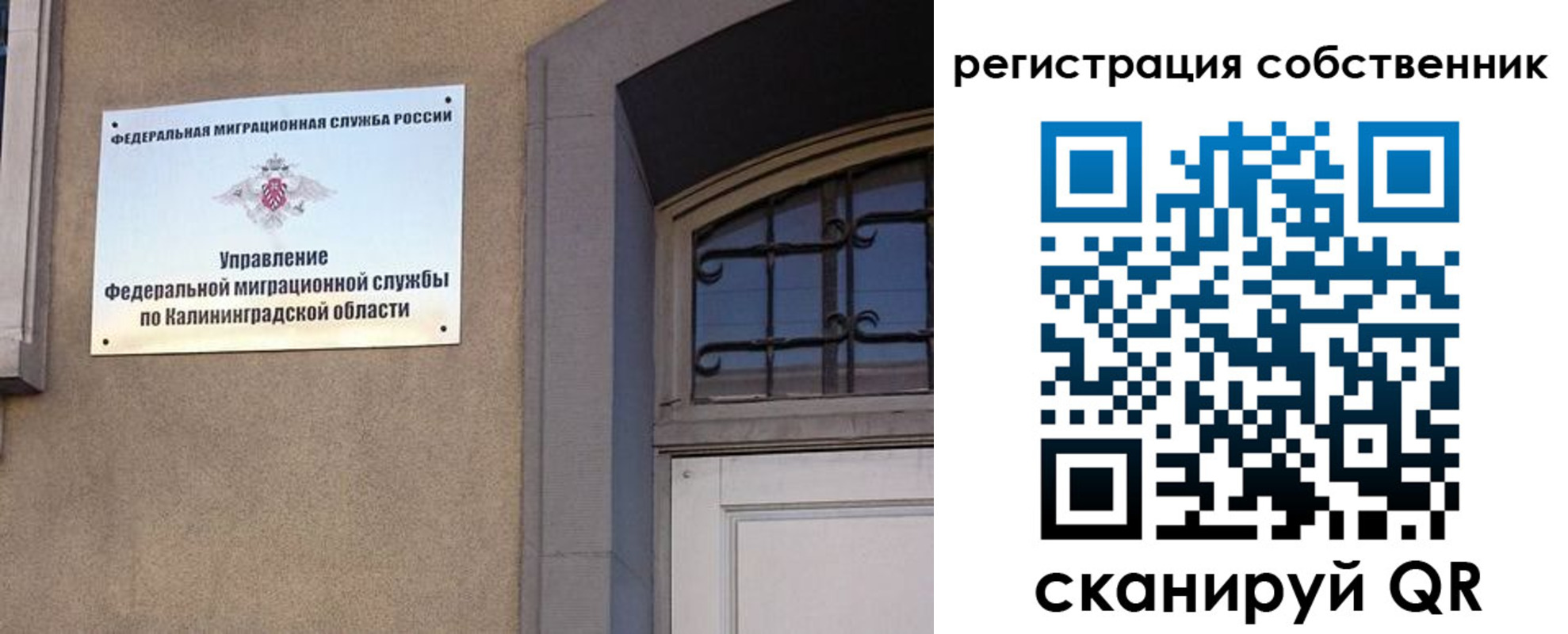 прописка паспорт в Дмитрове